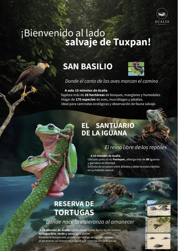 Vegetación nativa y biodiversidad del desarrollo